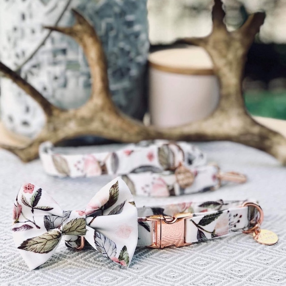 • Wildflower Collar and Bow from My Pupper •